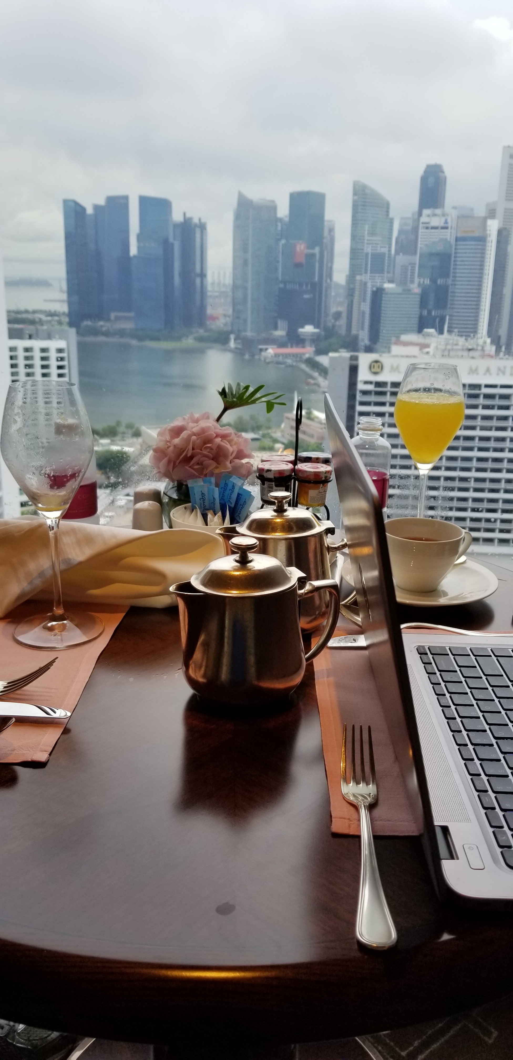 Mimosas in Singapore